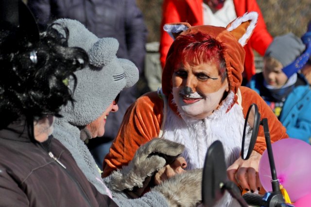 Narrentreiben 2025 (Fotos Rochus Hetzendorfer)